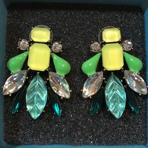 NWOT beautiful stone earrings.